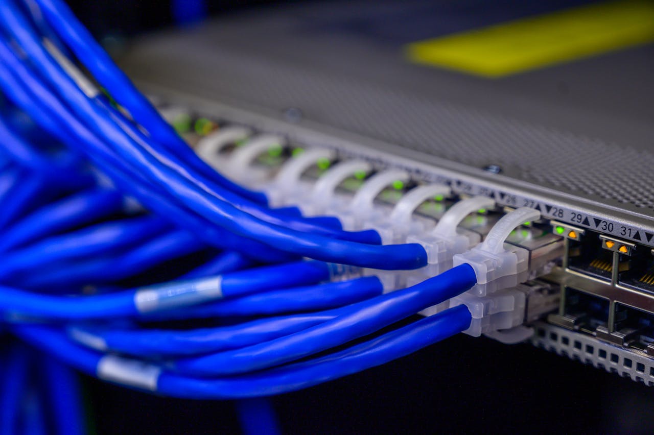 Services-01 Detailed view of blue ethernet cables connected to a network switch in a data center.